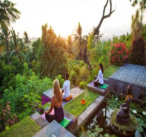 Wellness Retreats